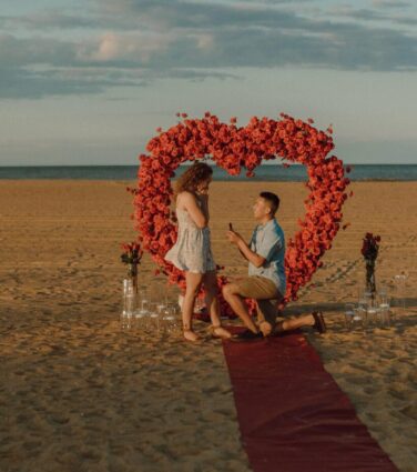 Surprise on the Shores